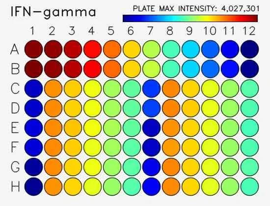 Sensitivity.webp