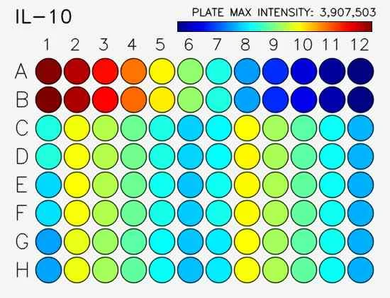 Sensitivity.webp