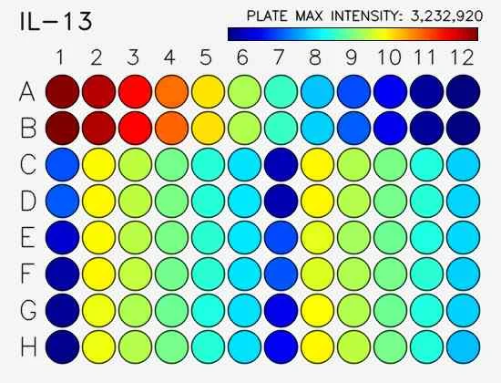 Sensitivity.webp