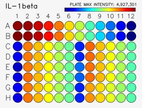 Sensitivity.webp
