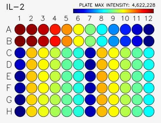 Sensitivity.webp