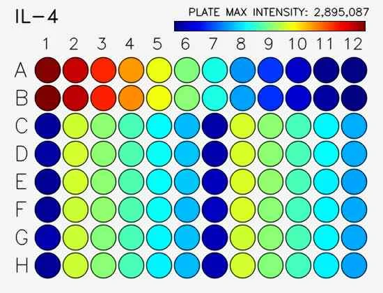Sensitivity.webp