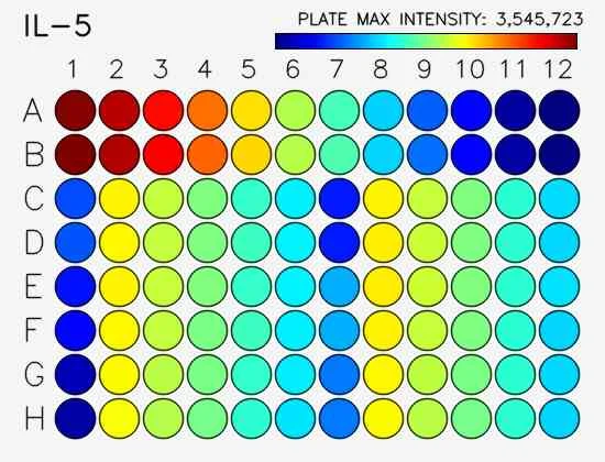 Sensitivity.webp