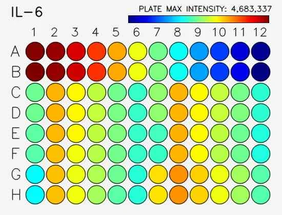 Sensitivity.webp