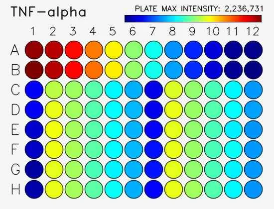 Sensitivity.webp