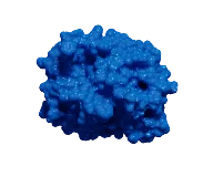 Analyte