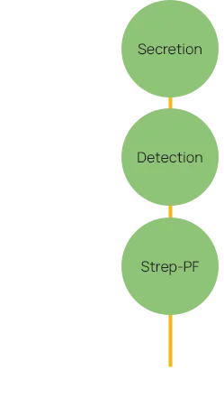 Pre-Coated PFluorospot